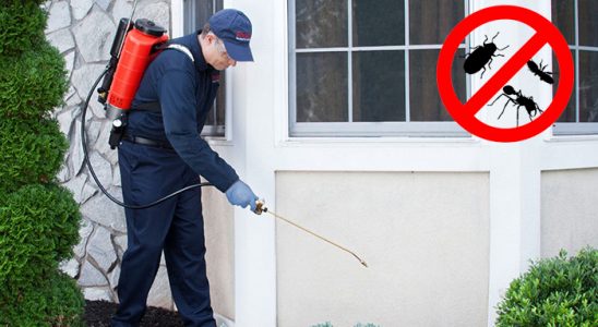 Reşadiye Karınca İlaçlama böcek ilaçlama ve haşere kontrolü — ilaclama-tr.com